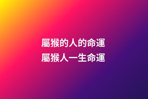 屬猴的人的命運 屬猴人一生命運